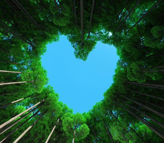 Digital generated image of tall trees forming heart shape against blue sky. Sustainability concept.