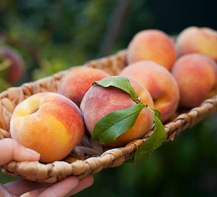 Peaches in a basket