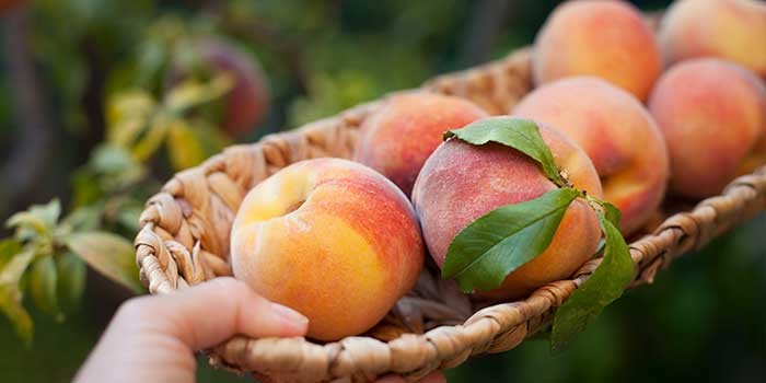 Peaches in a basket