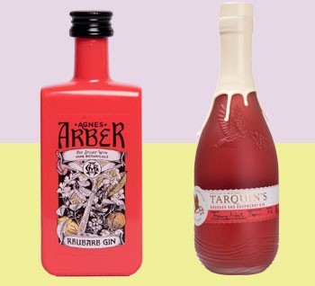 Two bottles of rhubarb gin on a colourful background