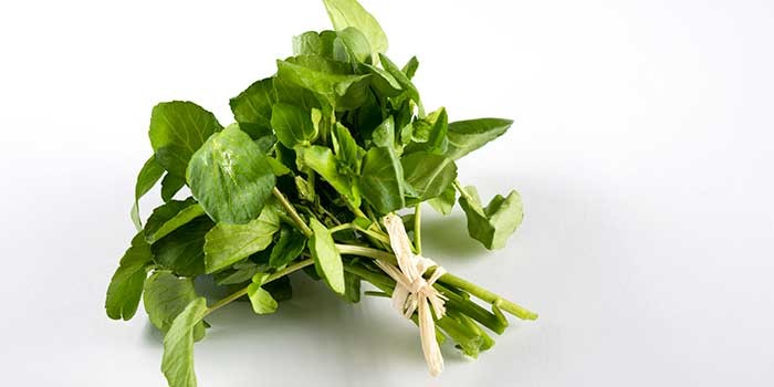 A bunch of watercress